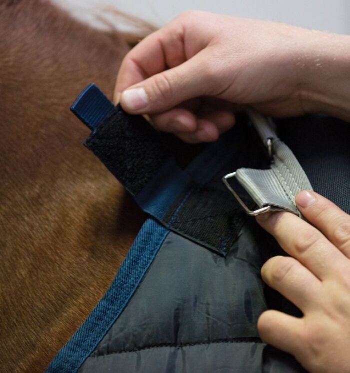 Horseware - Liner 100g – Image 4