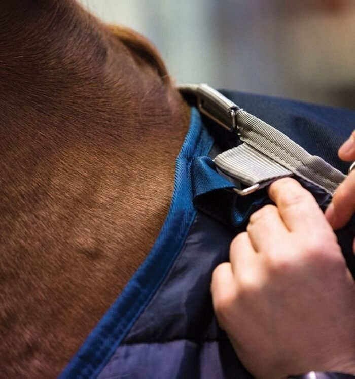 Horseware - Liner 100g – Image 5