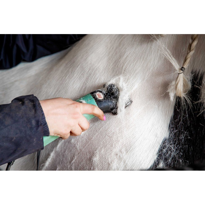 Lister - Tondeuse Star filaire avec sac de rangement – Image 10