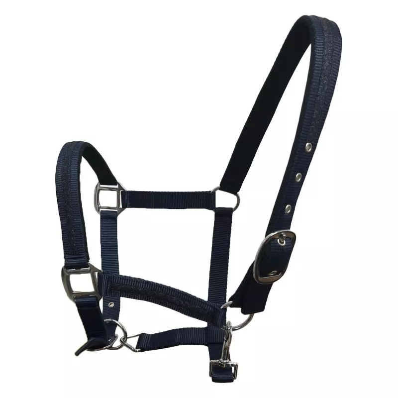 Flags&Cup - Set de licol et longe Atamik