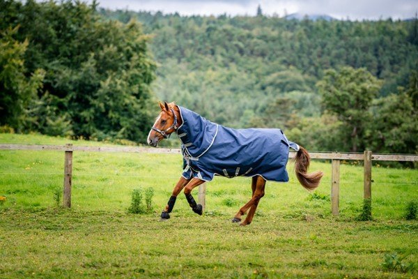 Horseware - Couverture d'extérieur Amigo Bravo 12 Plus 100g – Image 5