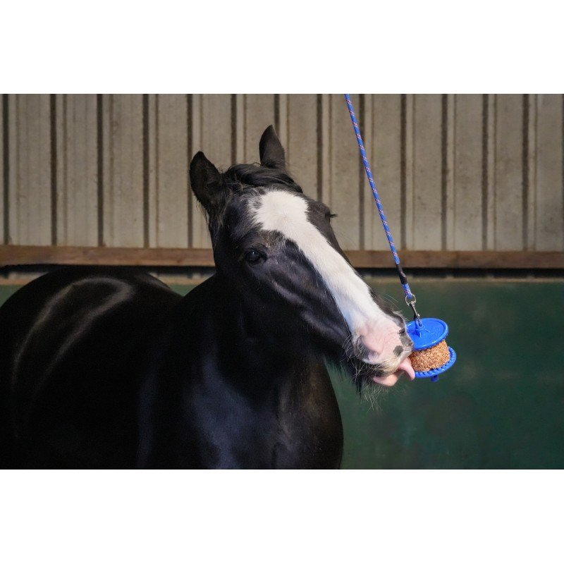 Likit - Pierre à lécher 440g - Granola Allégé - Granolo – Image 3