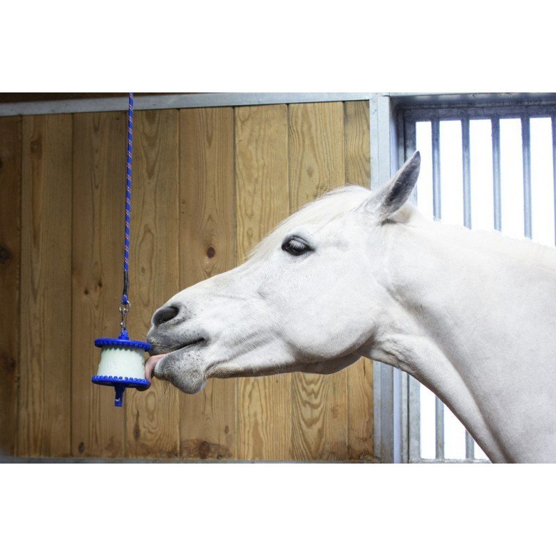 Likit - Support pour pierre à lécher – Image 9