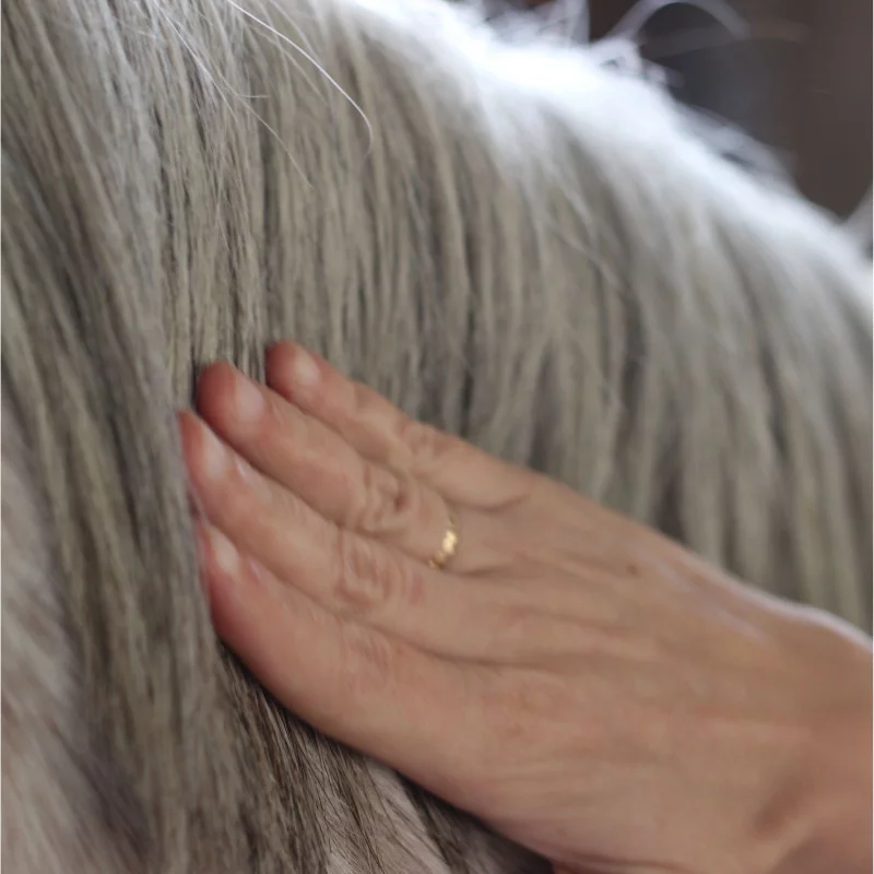 Nellumbo - Sérum Sublime Crins – Image 4