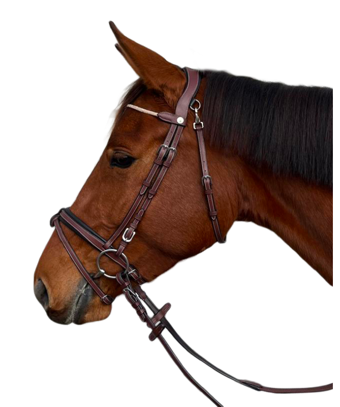 Flags&Cup - Bridon Genève