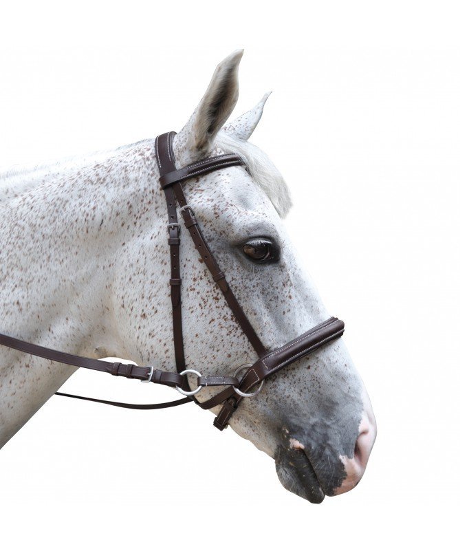 Chetak - Bridon Bitless