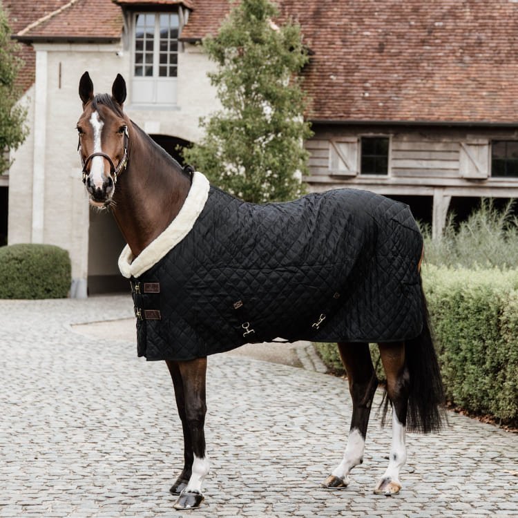 Kentucky - Couverture de présentation 160g