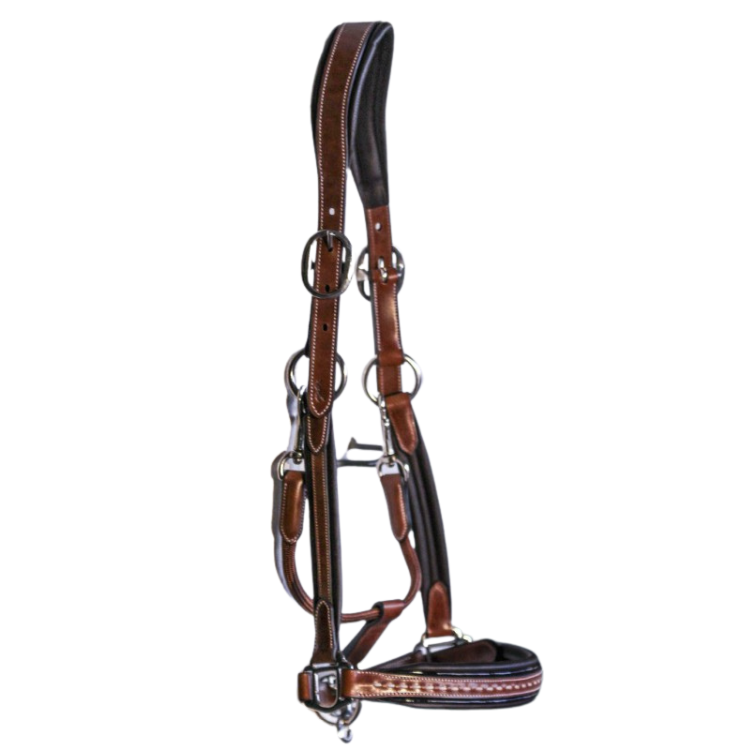 Penelope - Licol cuir point sellier