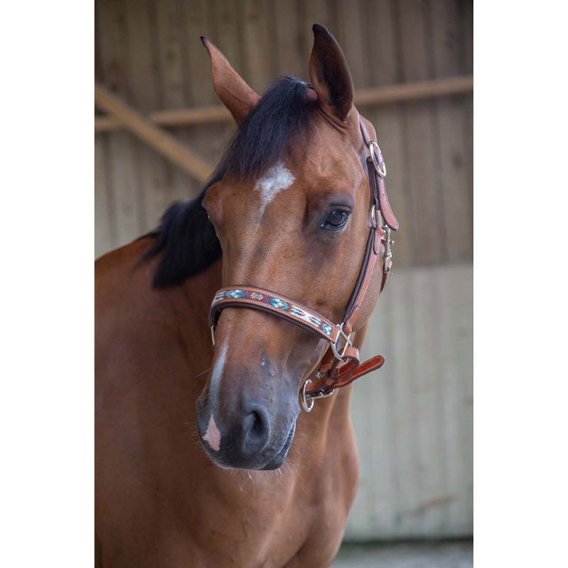 Penelope - Licol cuir pearl