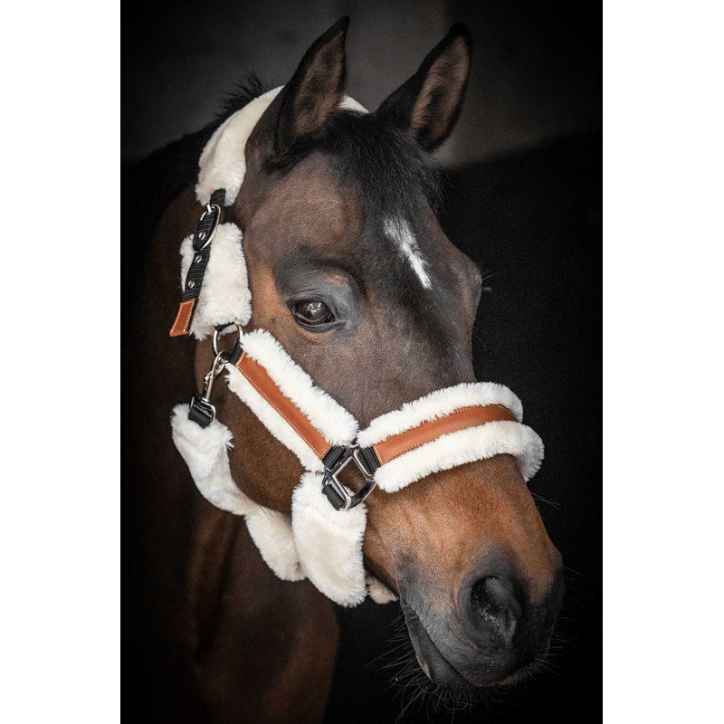 Penelope - Licol cuir et faux mouton "Soft"