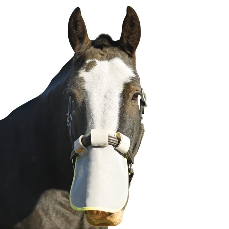 Equilibrium - Protection solaire de nez