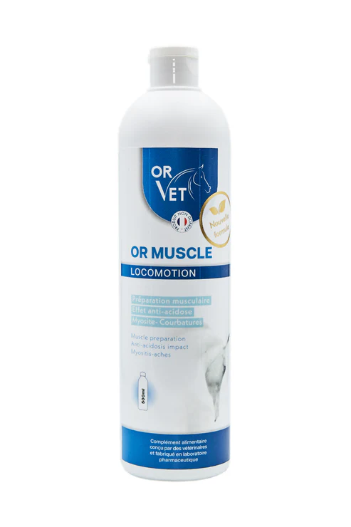 Or-Vet - Or Muscle