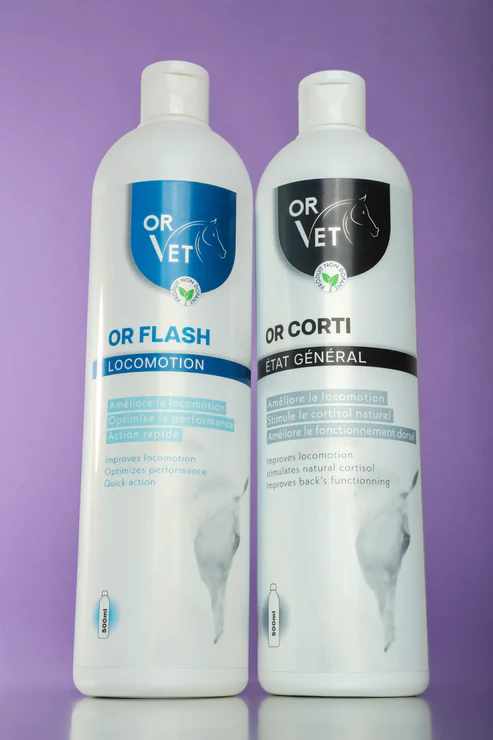 Or-Vet - Or Corti – Image 3