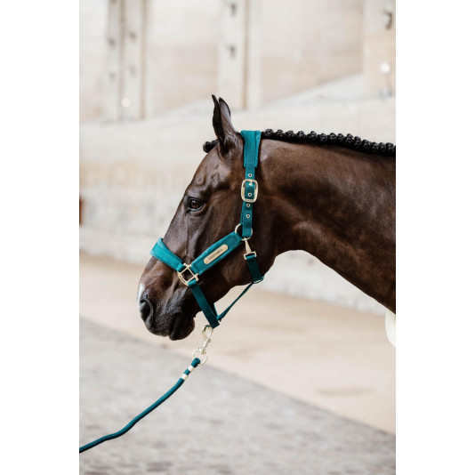 Kentucky - Longe rope basic – Image 7